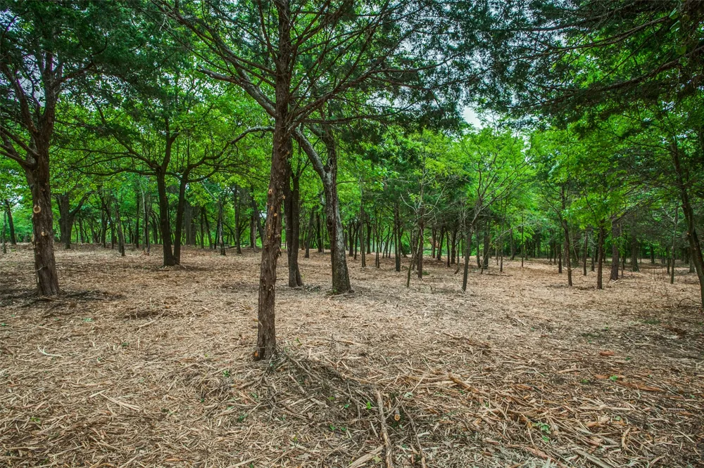 E Farm to Market 455 Pilot Point, TX 76258