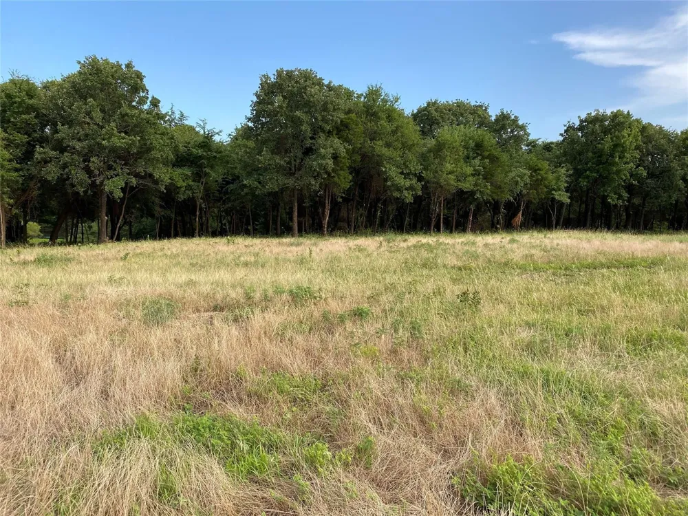 E Farm to Market 455 Pilot Point, TX 76258