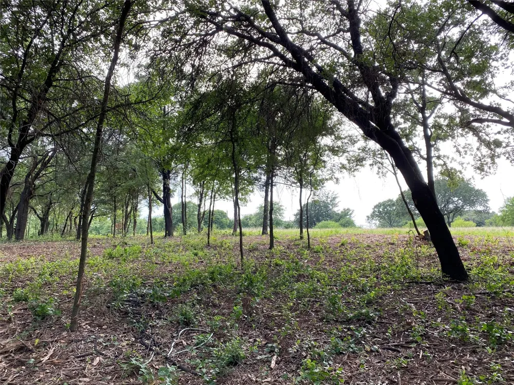 E Farm to Market 455 Pilot Point, TX 76258