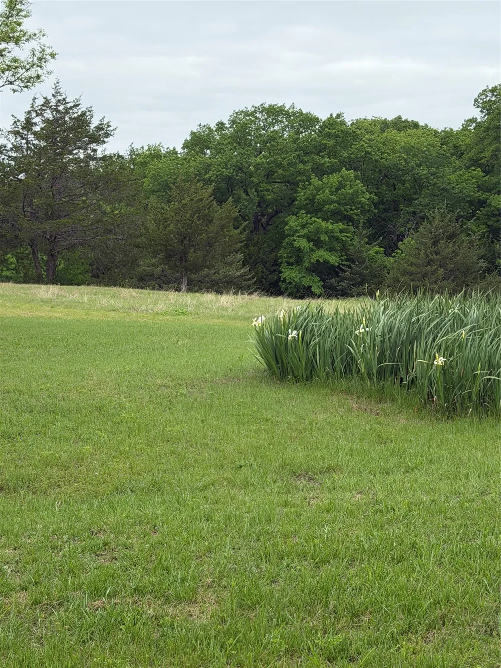 627 Homer Smith Van Alstyne, TX 75491