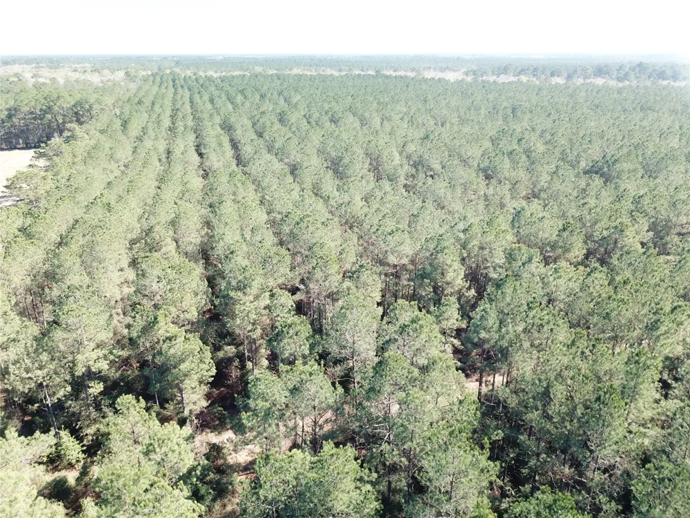 Corrigan Road Vidor, TX 77662