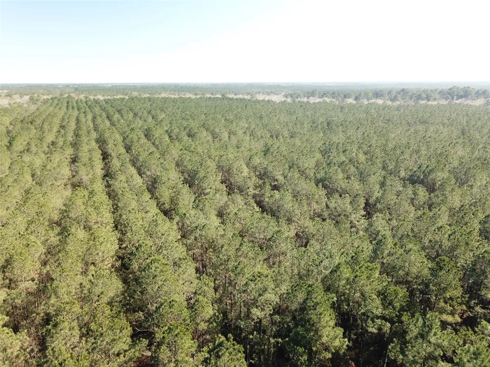 Corrigan Road Vidor, TX 77662