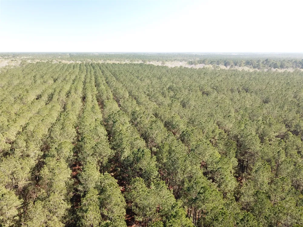 Corrigan Road Vidor, TX 77662