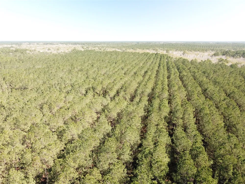 Corrigan Road Vidor, TX 77662