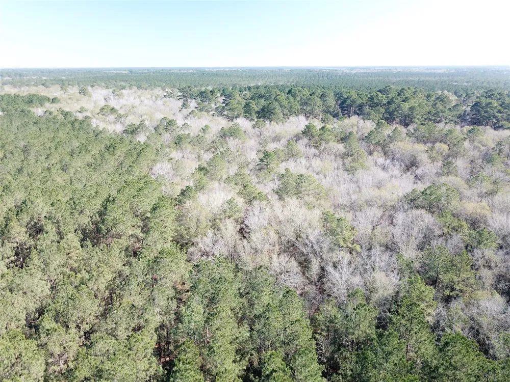Corrigan Road Vidor, TX 77662