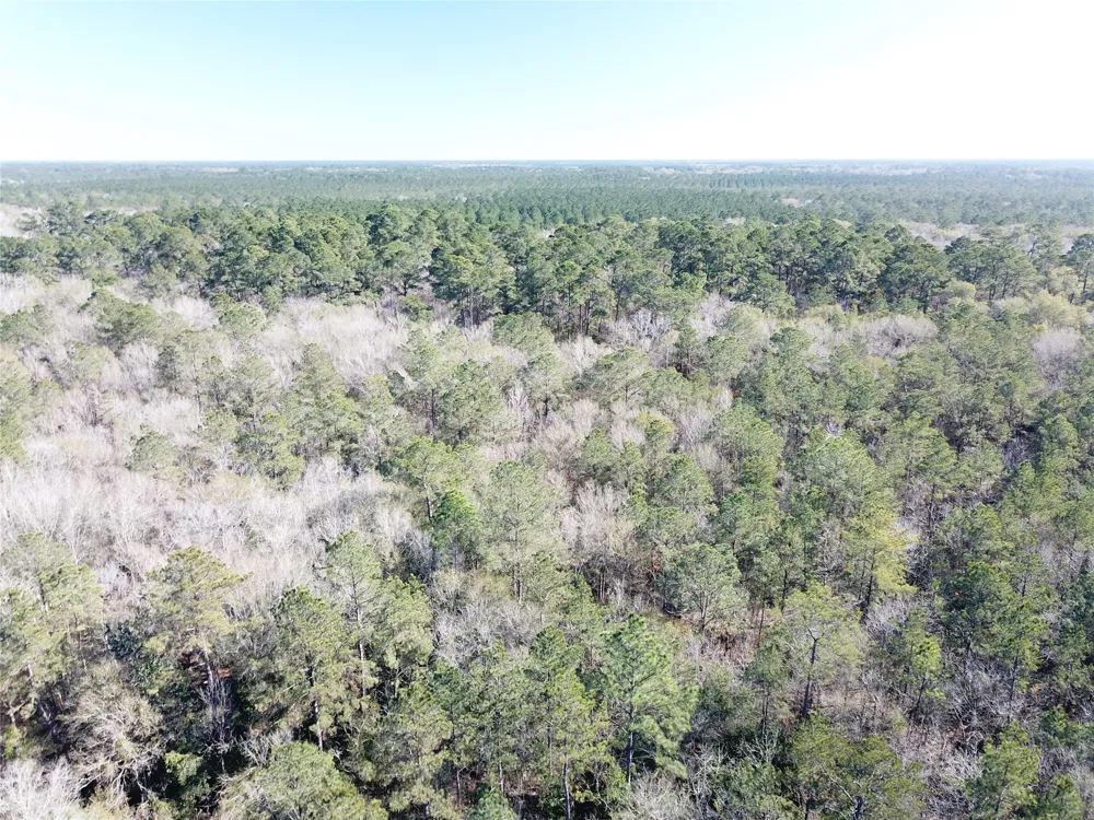 Corrigan Road Vidor, TX 77662