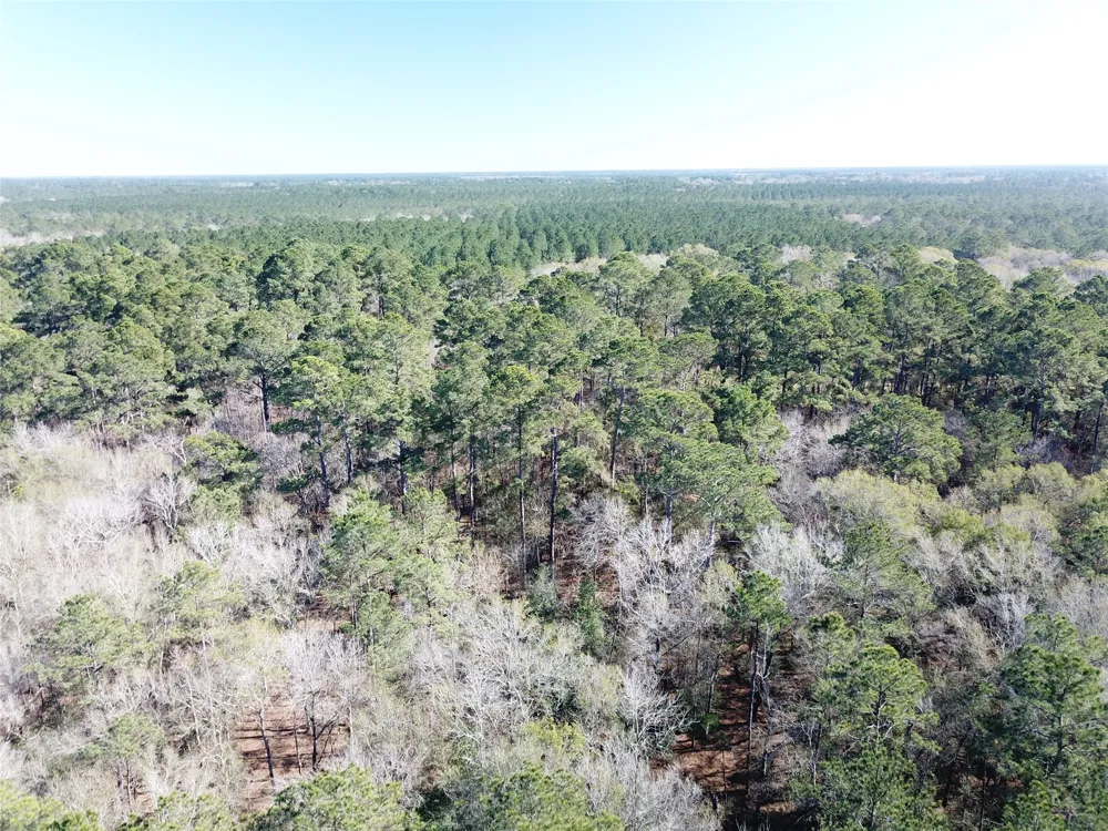 Corrigan Road Vidor, TX 77662