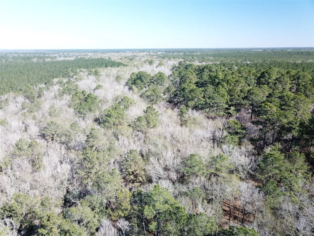 Corrigan Road Vidor, TX 77662