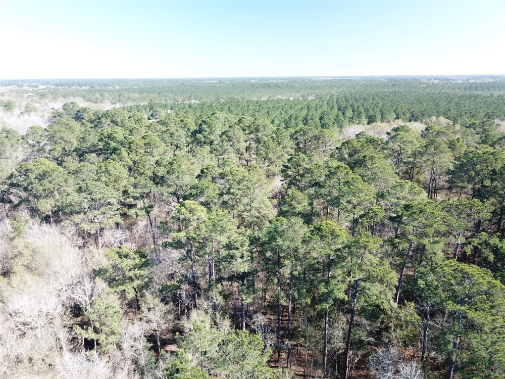 Corrigan Road Vidor, TX 77662