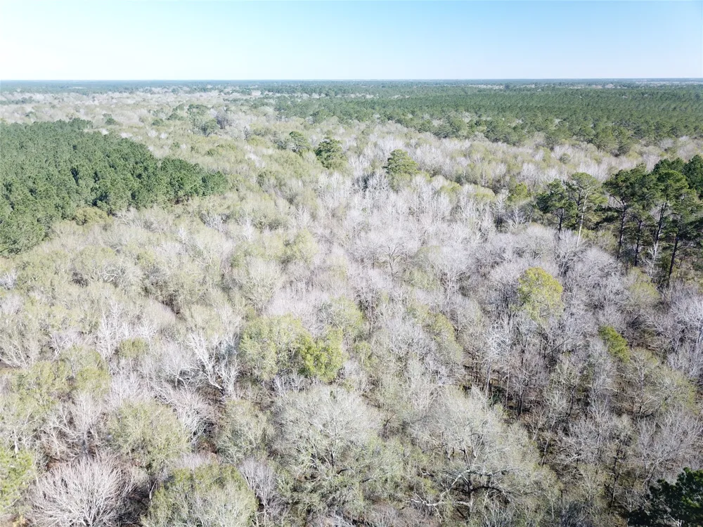 Corrigan Road Vidor, TX 77662