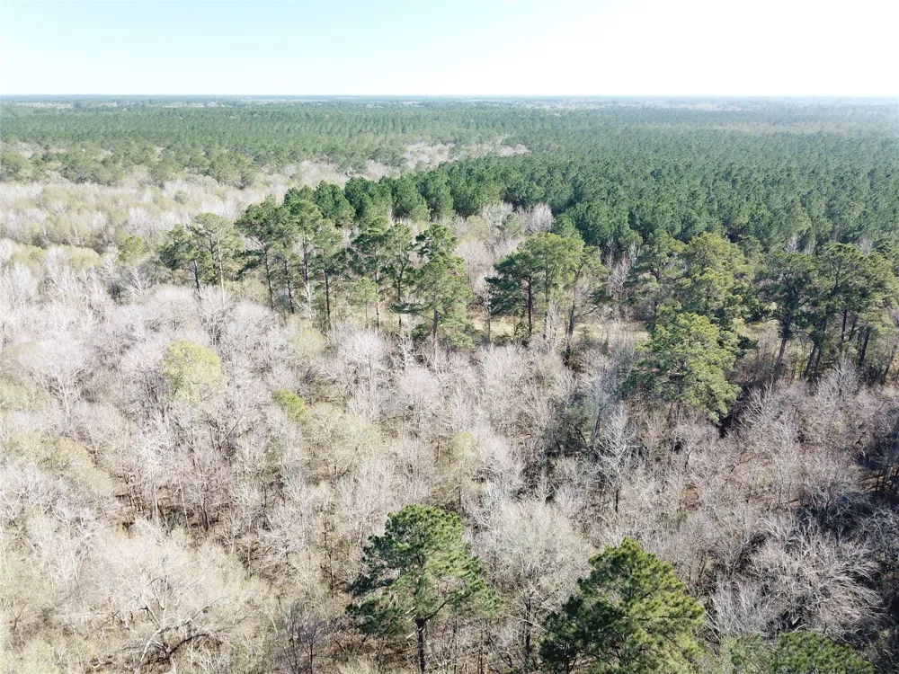 Corrigan Road Vidor, TX 77662