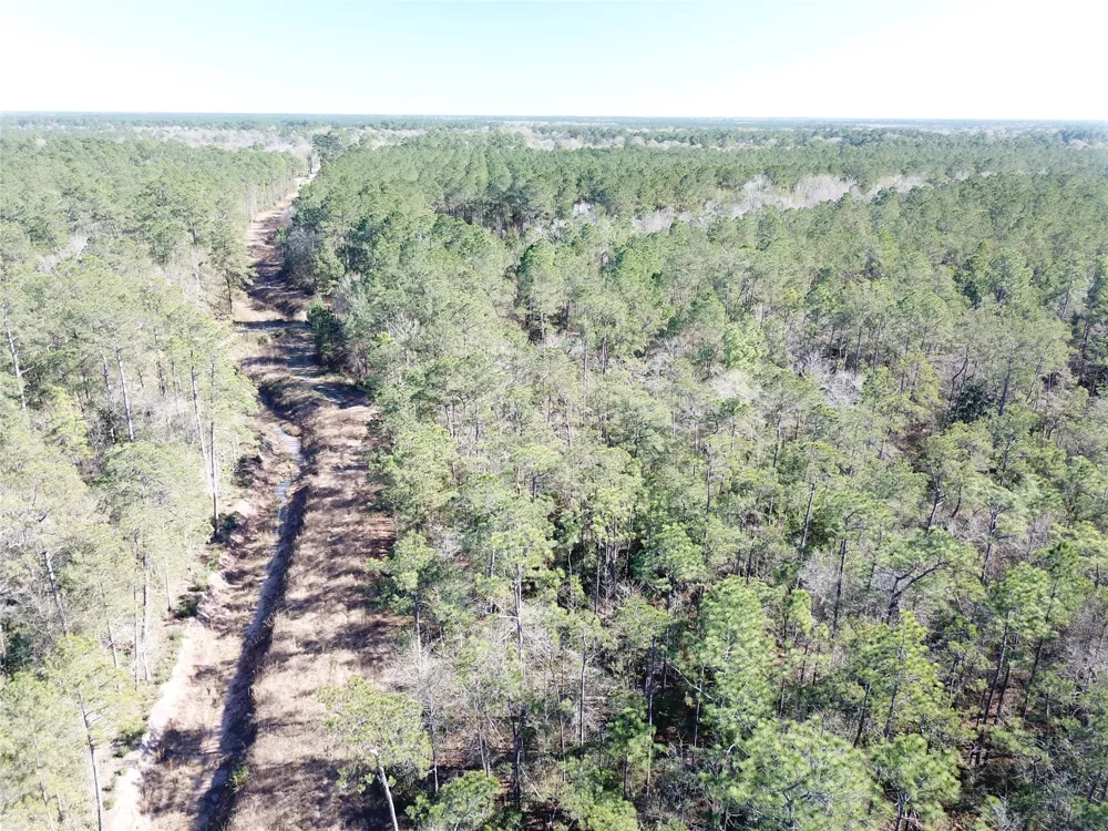 Corrigan Road Vidor, TX 77662
