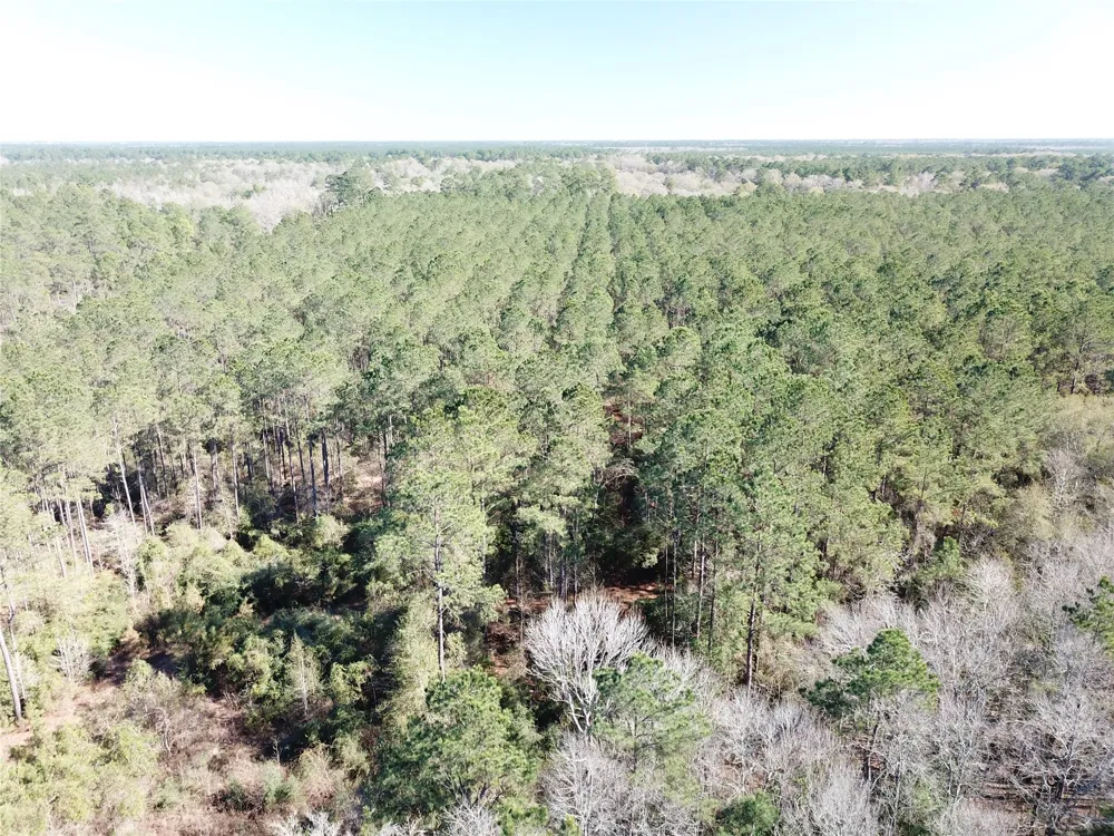 Corrigan Road Vidor, TX 77662
