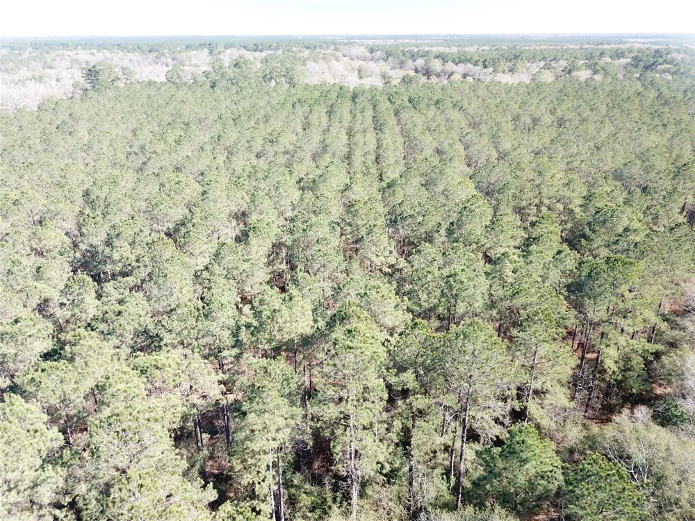 Corrigan Road Vidor, TX 77662