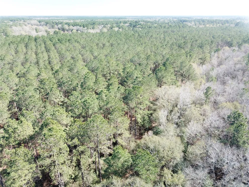 Corrigan Road Vidor, TX 77662