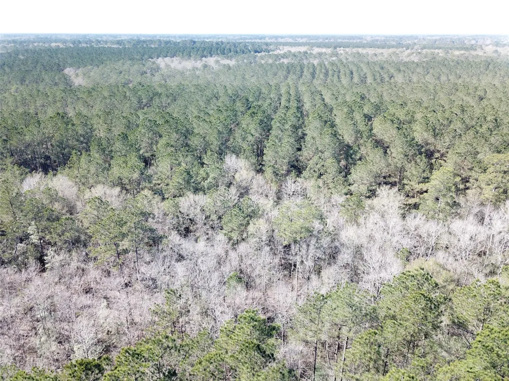 Corrigan Road Vidor, TX 77662
