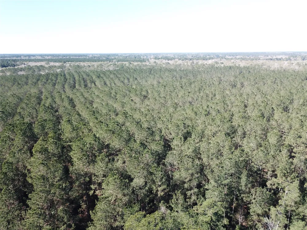 Corrigan Road Vidor, TX 77662