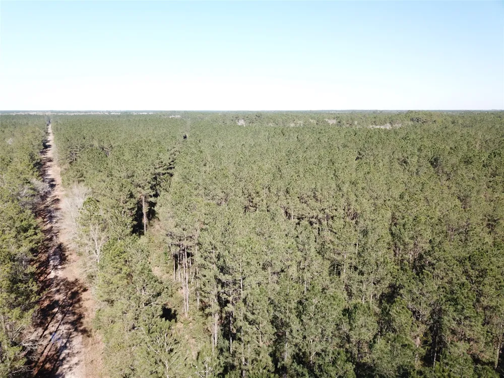 Corrigan Road Vidor, TX 77662