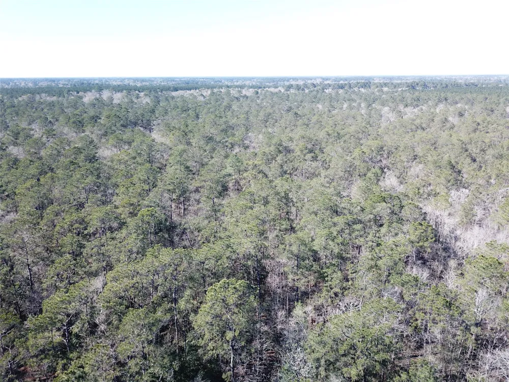 Corrigan Road Vidor, TX 77662