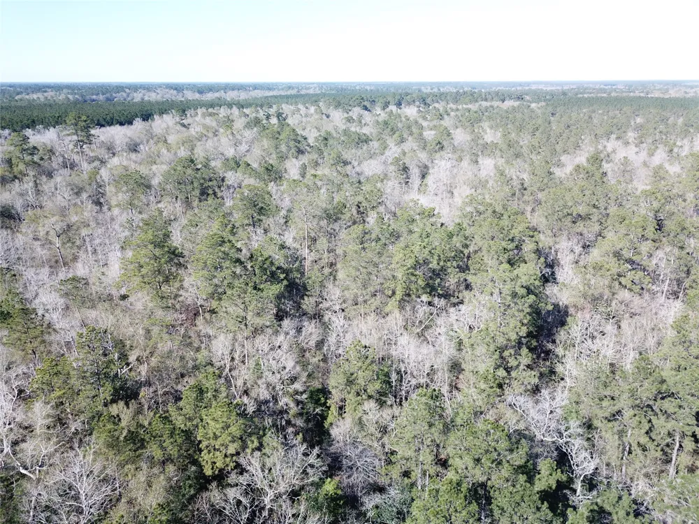 Corrigan Road Vidor, TX 77662
