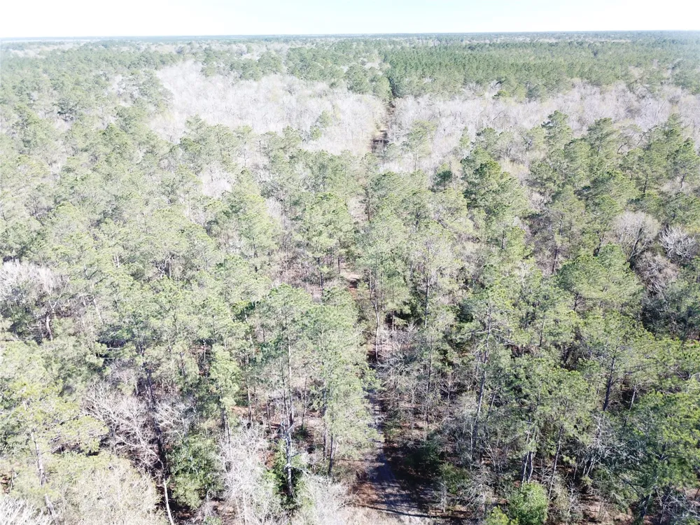Corrigan Road Vidor, TX 77662