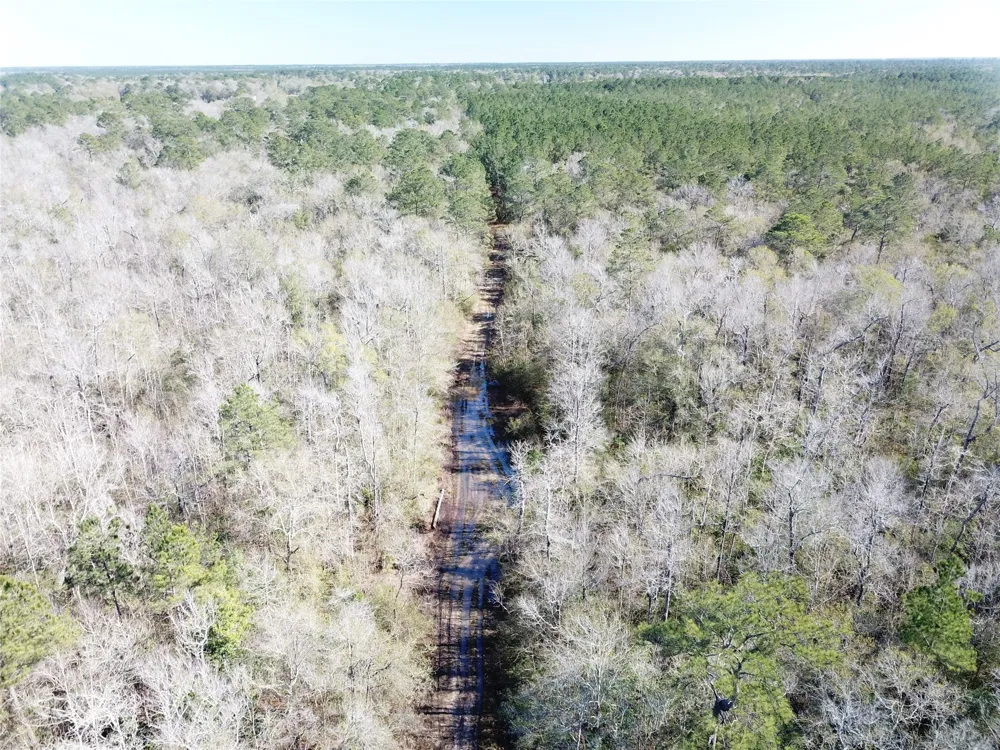 Corrigan Road Vidor, TX 77662