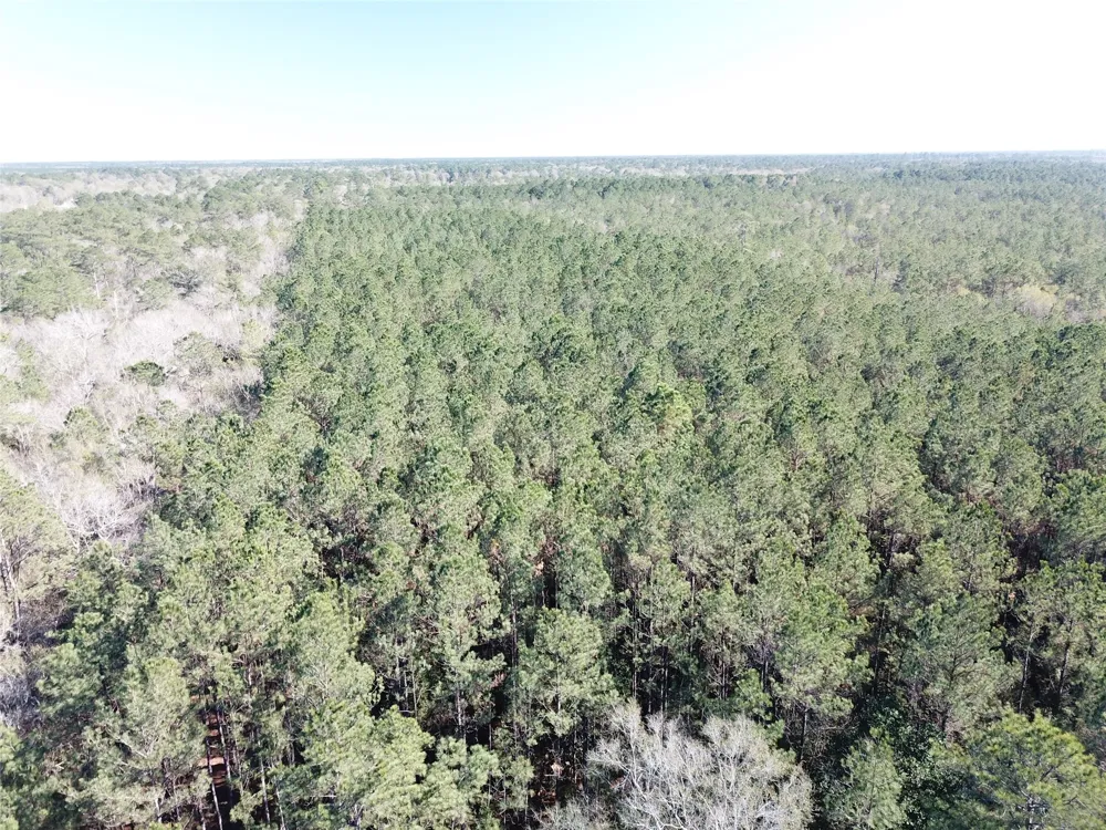 Corrigan Road Vidor, TX 77662