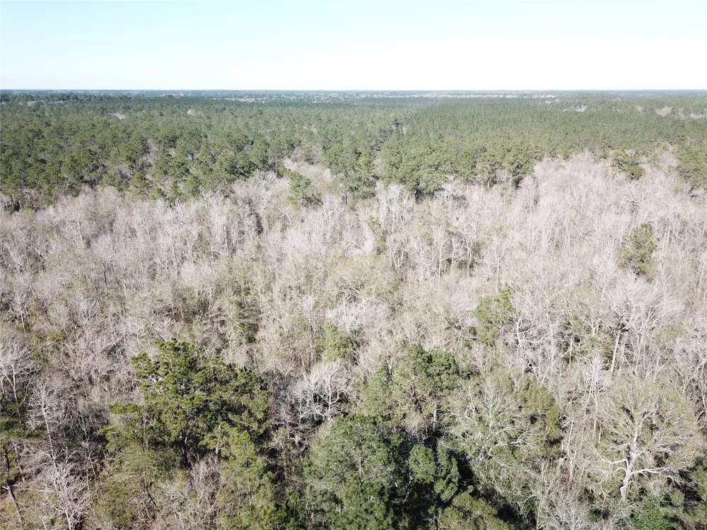 Corrigan Road Vidor, TX 77662