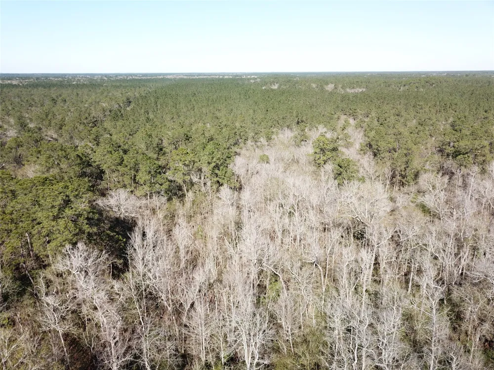 Corrigan Road Vidor, TX 77662