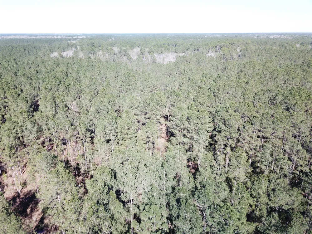 Corrigan Road Vidor, TX 77662