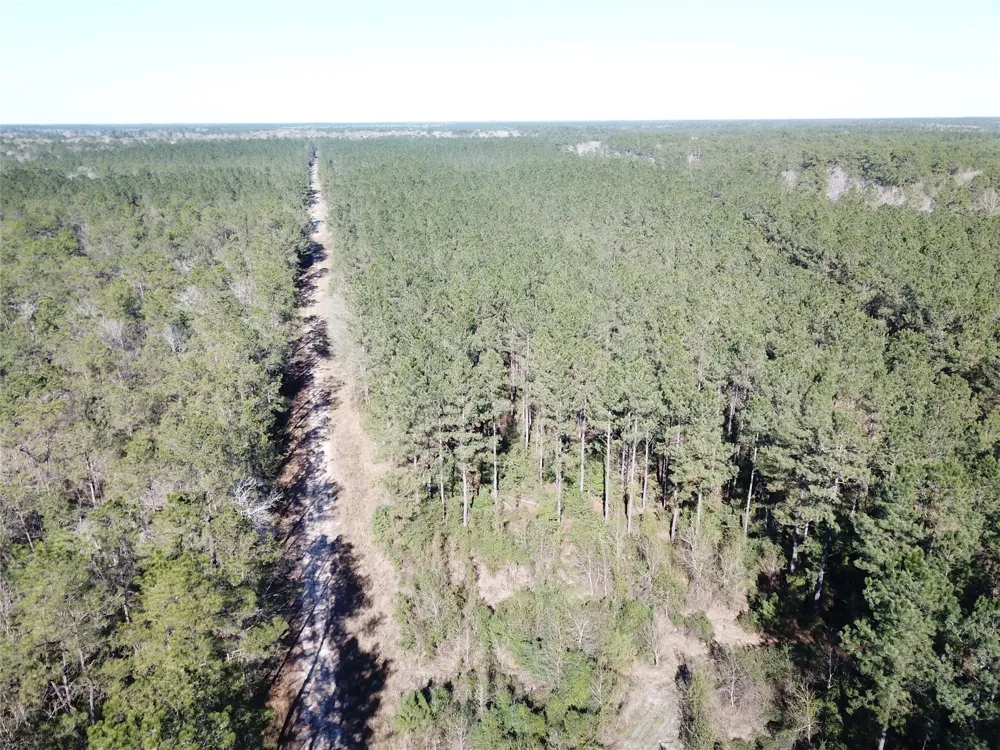 Corrigan Road Vidor, TX 77662