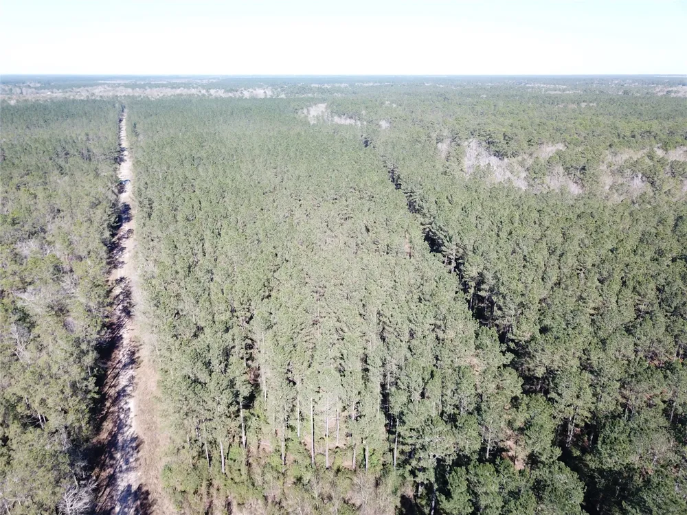 Corrigan Road Vidor, TX 77662