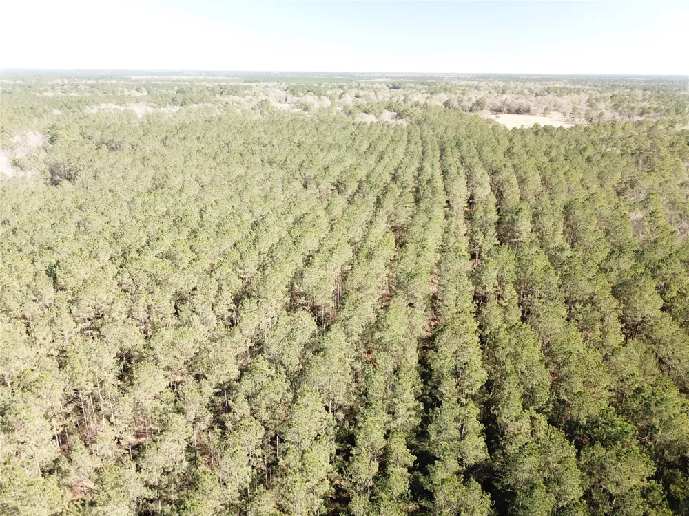 Corrigan Road Vidor, TX 77662