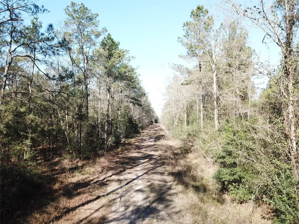 Corrigan Road Vidor, TX 77662