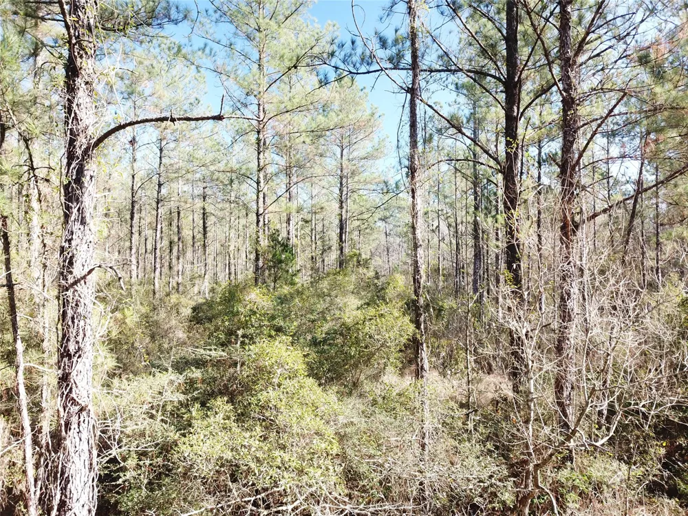 Corrigan Road Vidor, TX 77662