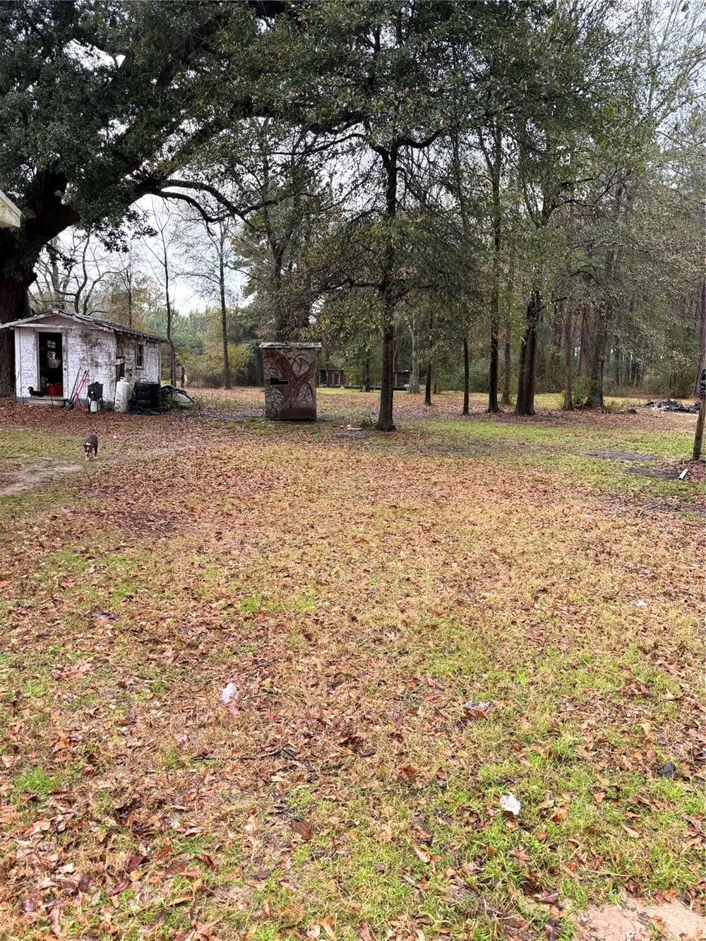 120 Bessie Crow Road Coushatta, LA 71019