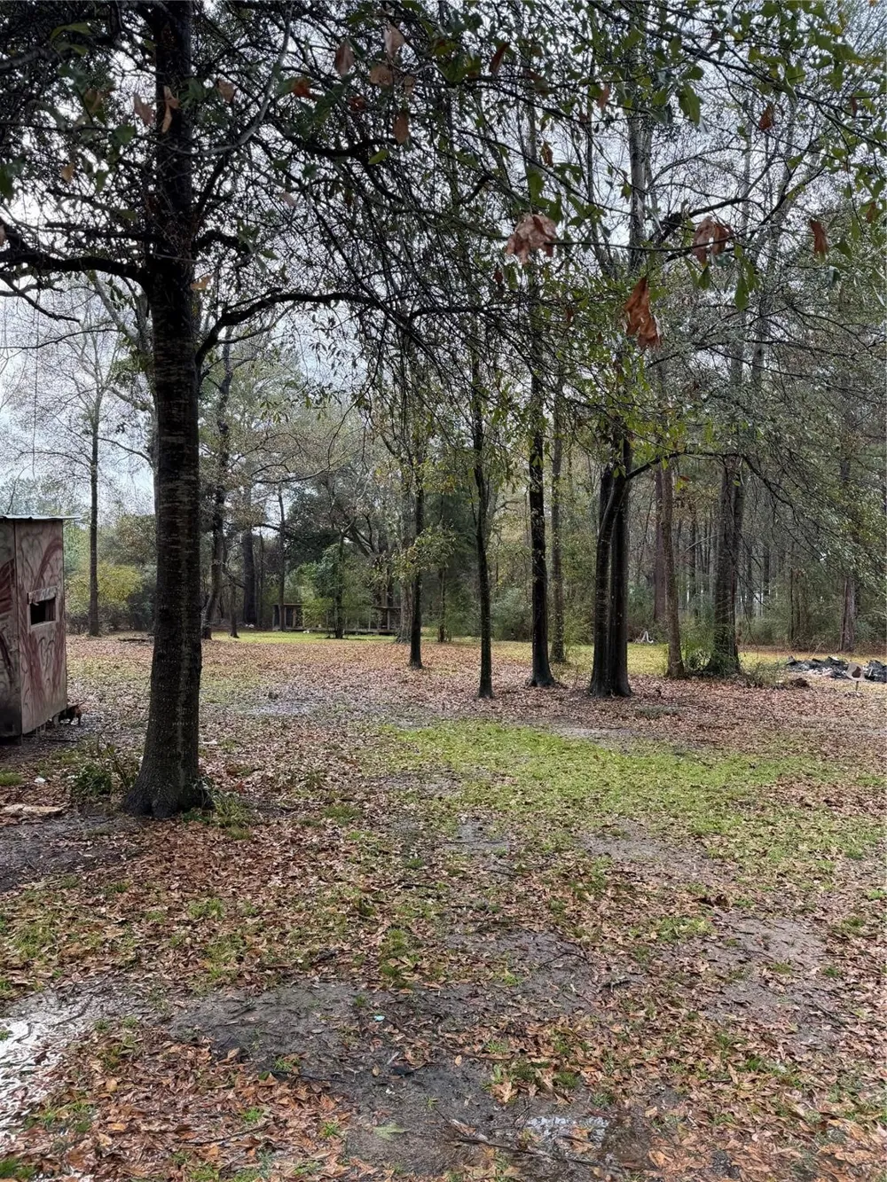 120 Bessie Crow Road Coushatta, LA 71019