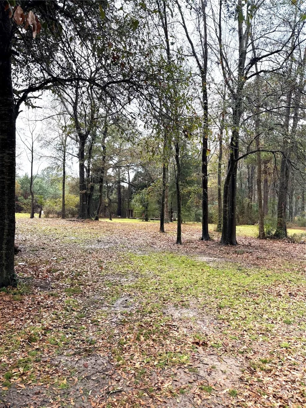 120 Bessie Crow Road Coushatta, LA 71019