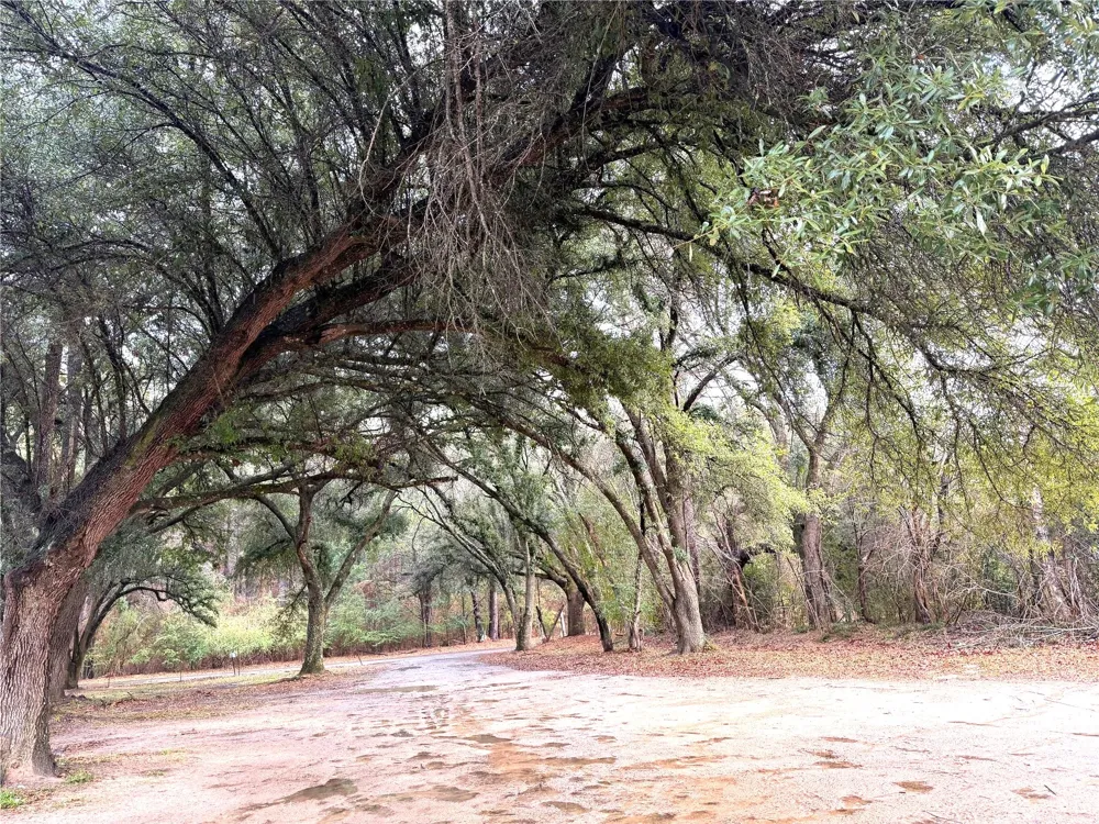 120 Bessie Crow Road Coushatta, LA 71019