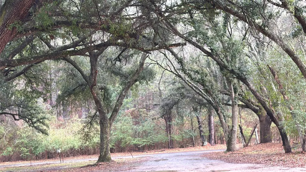 120 Bessie Crow Road Coushatta, LA 71019