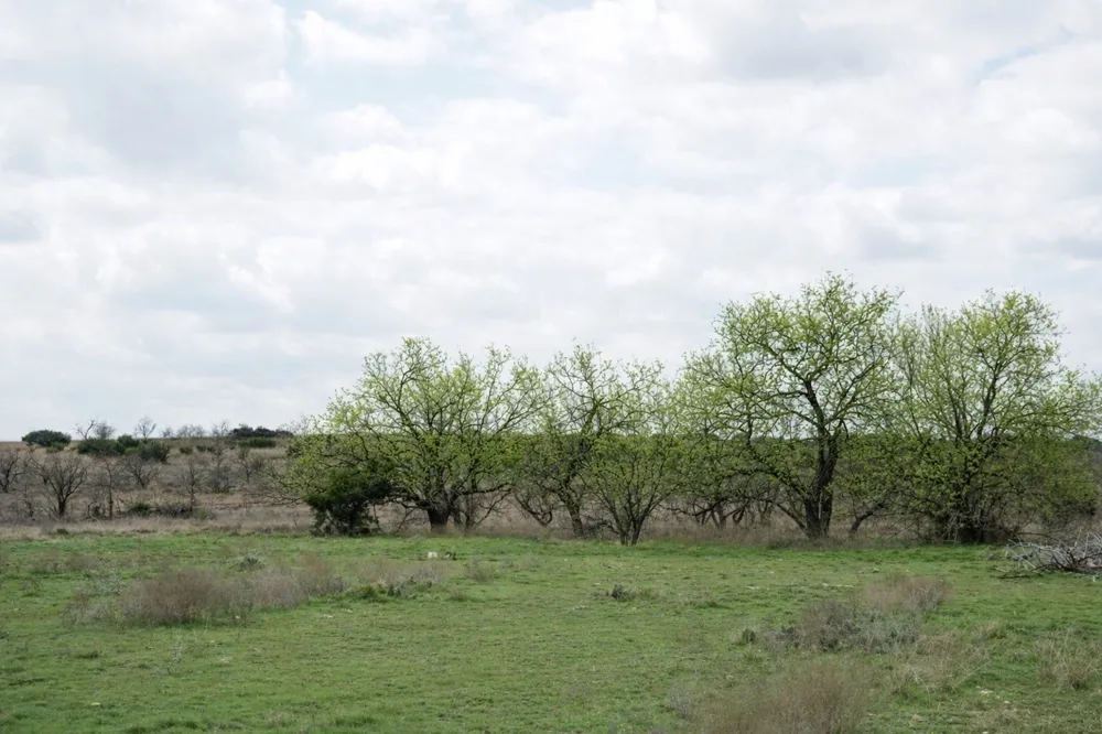 County Road 224 Jonesboro, TX 76538