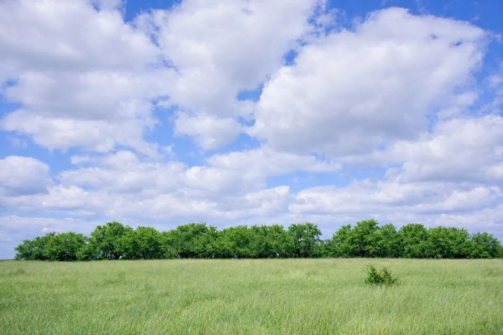 County Road 224 Jonesboro, TX 76538