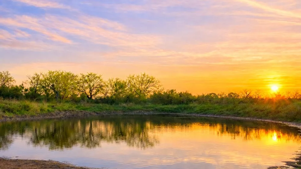 County Road 224 Jonesboro, TX 76538