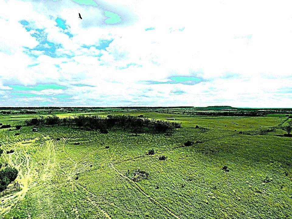 County Road 224 Jonesboro, TX 76538