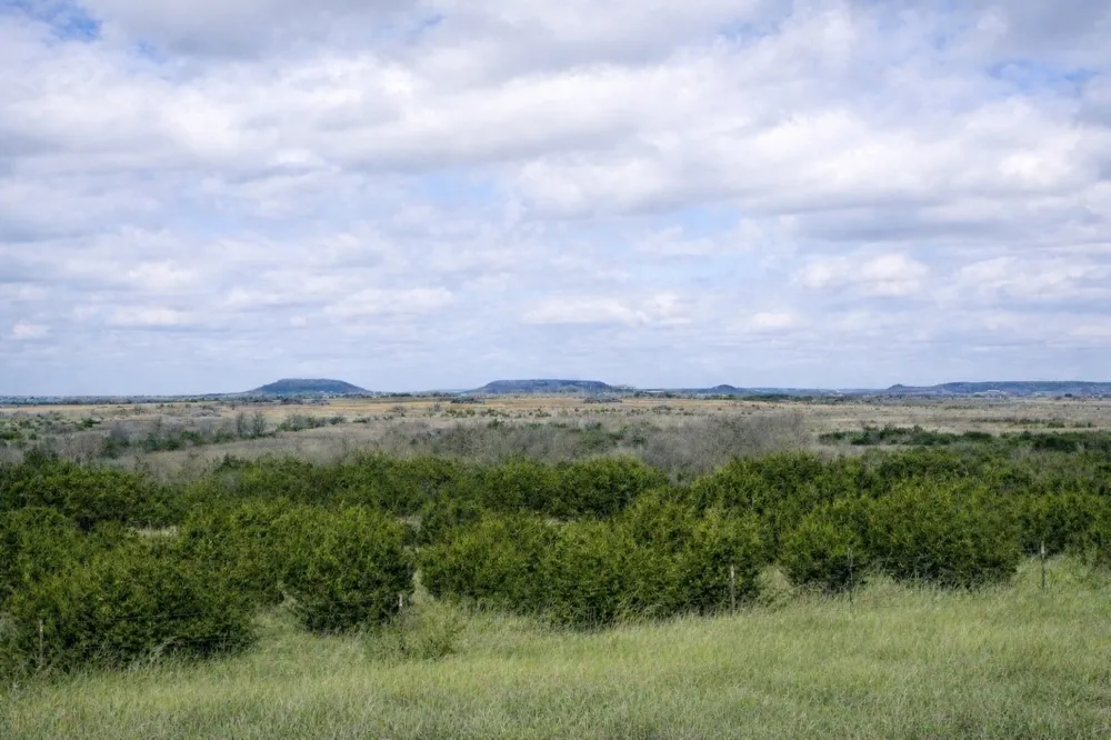 County Road 224 Jonesboro, TX 76538