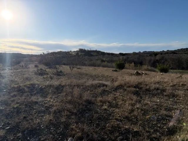 2220 Canyon Wren Loop Graford, TX 76449