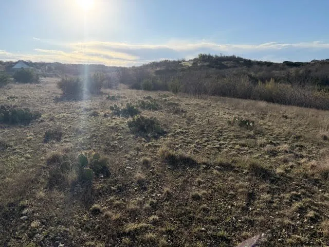 2220 Canyon Wren Loop Graford, TX 76449