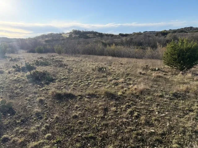 2220 Canyon Wren Loop Graford, TX 76449