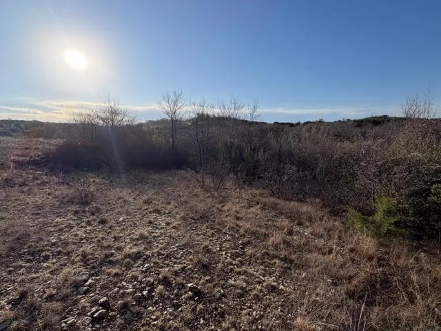 2220 Canyon Wren Loop Graford, TX 76449
