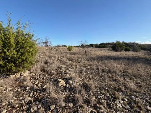 2220 Canyon Wren Loop Graford, TX 76449
